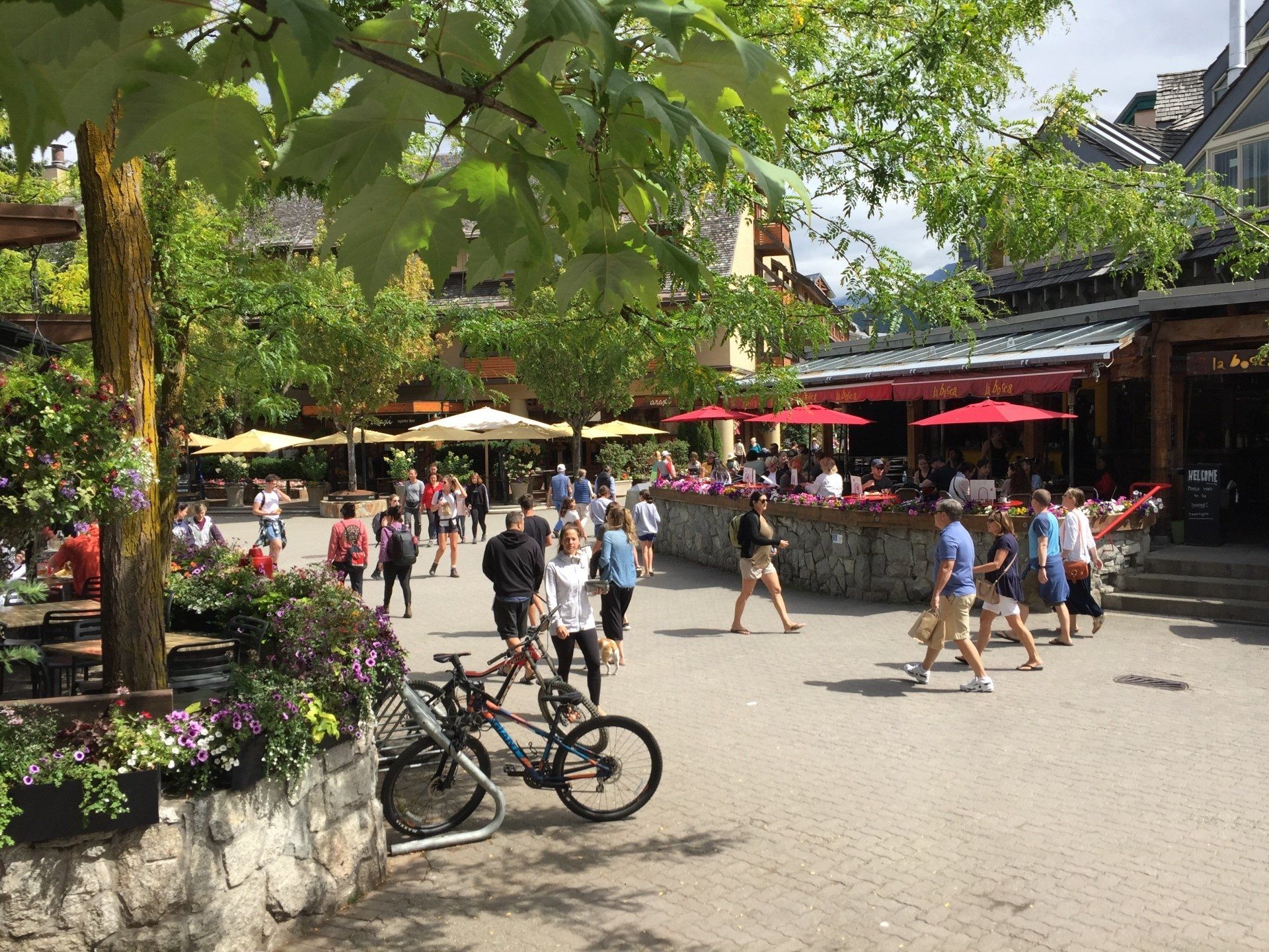 Busy outdoor plaza with people, restaurants, and bicycles. Sunny day, green trees, red umbrellas.
