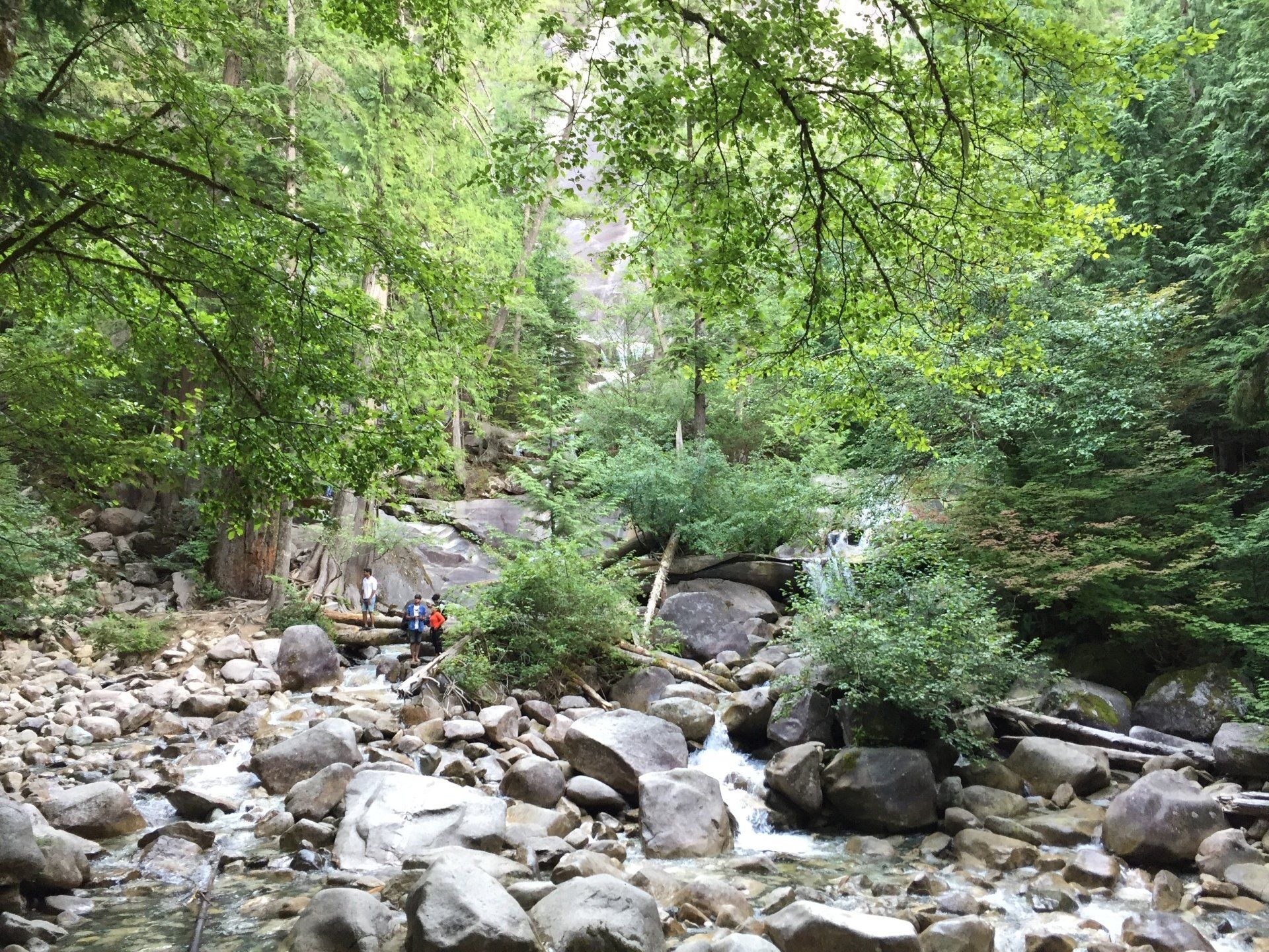 Rocky stream flowing through a forest, with people walking in the distance. Green foliage and large boulders.