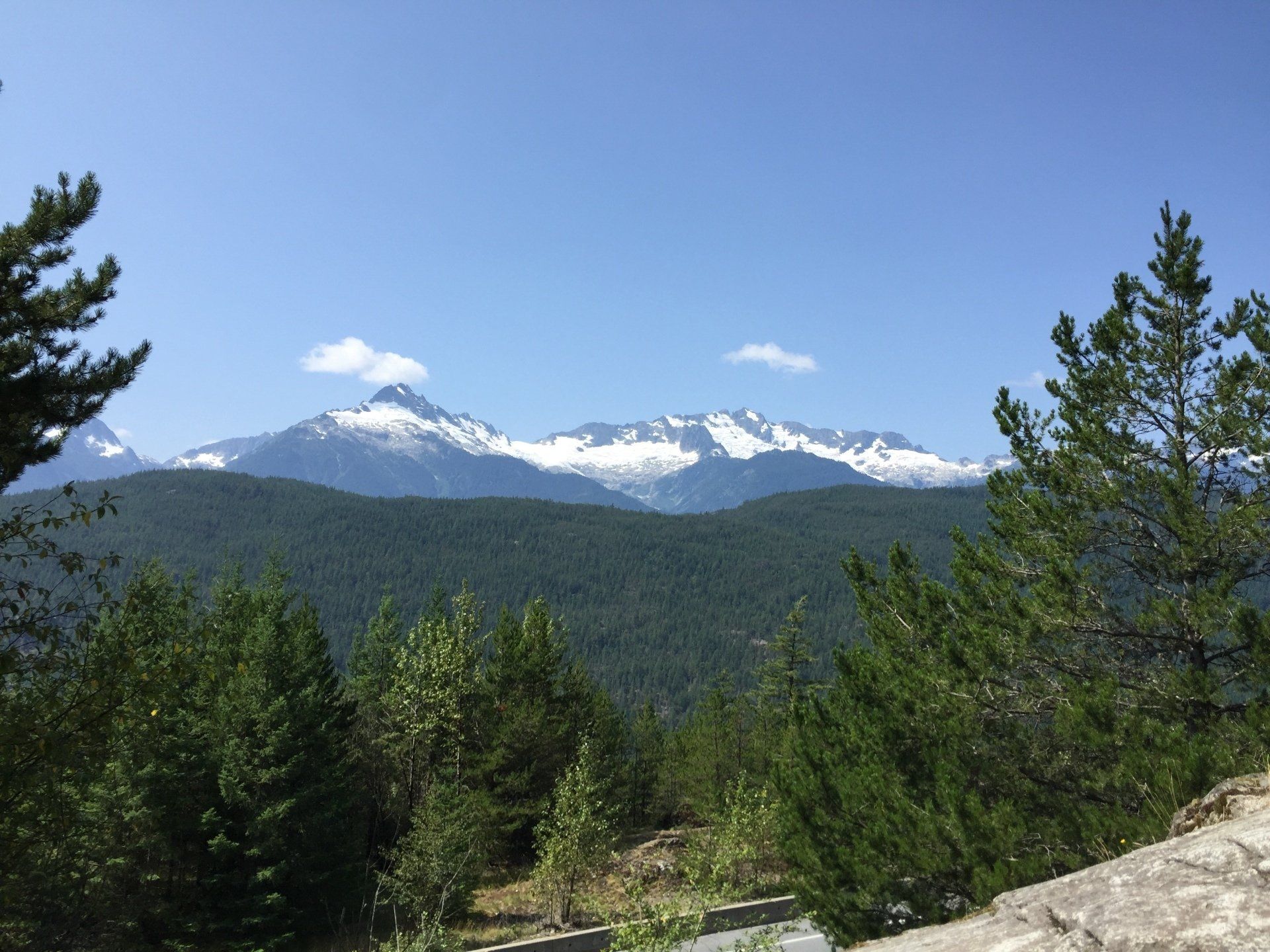 Snow-capped mountains in the distance, framed by green trees under a bright blue sky.