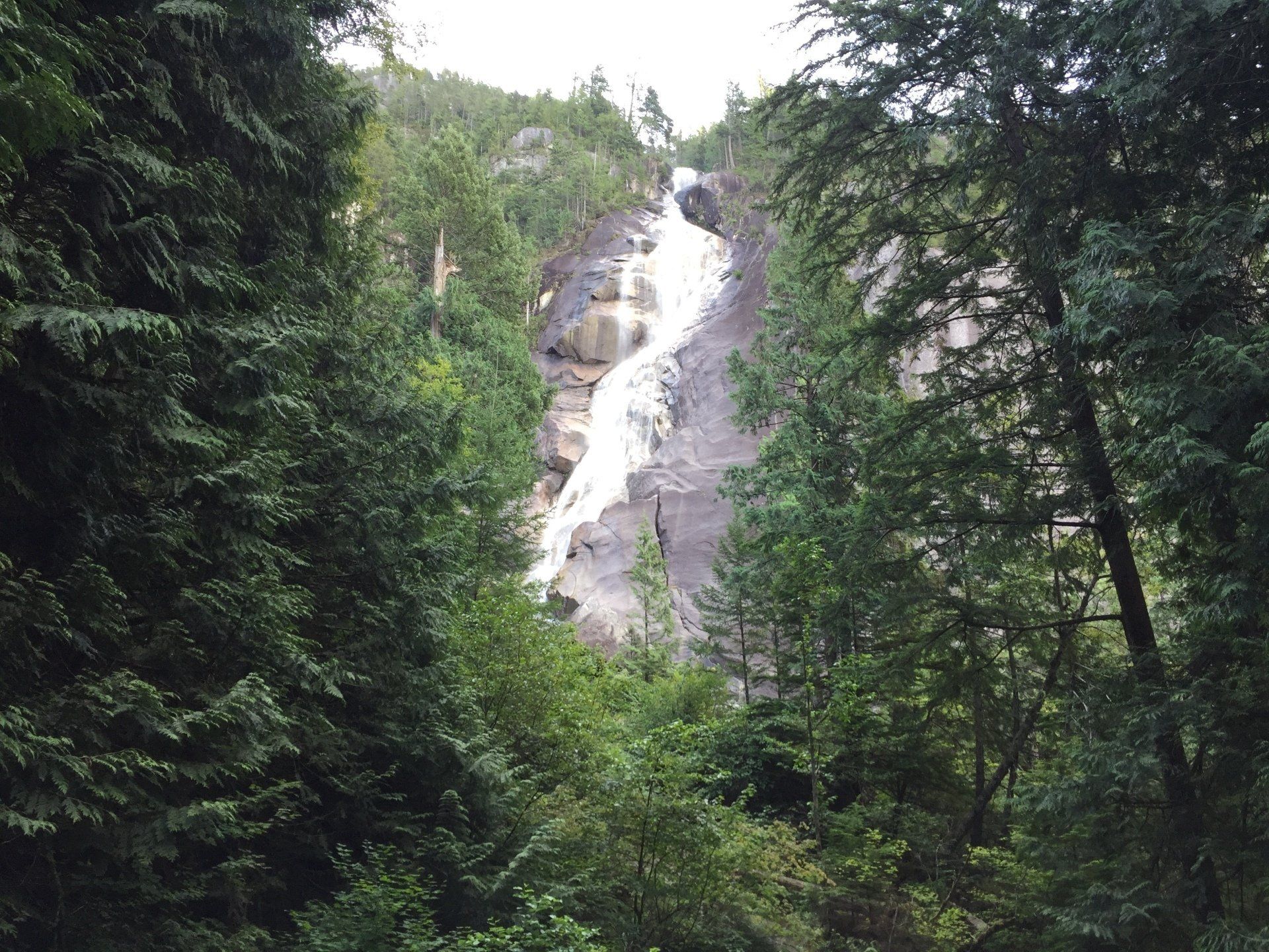 Waterfall cascading down a rocky cliff, framed by green trees in a forest.