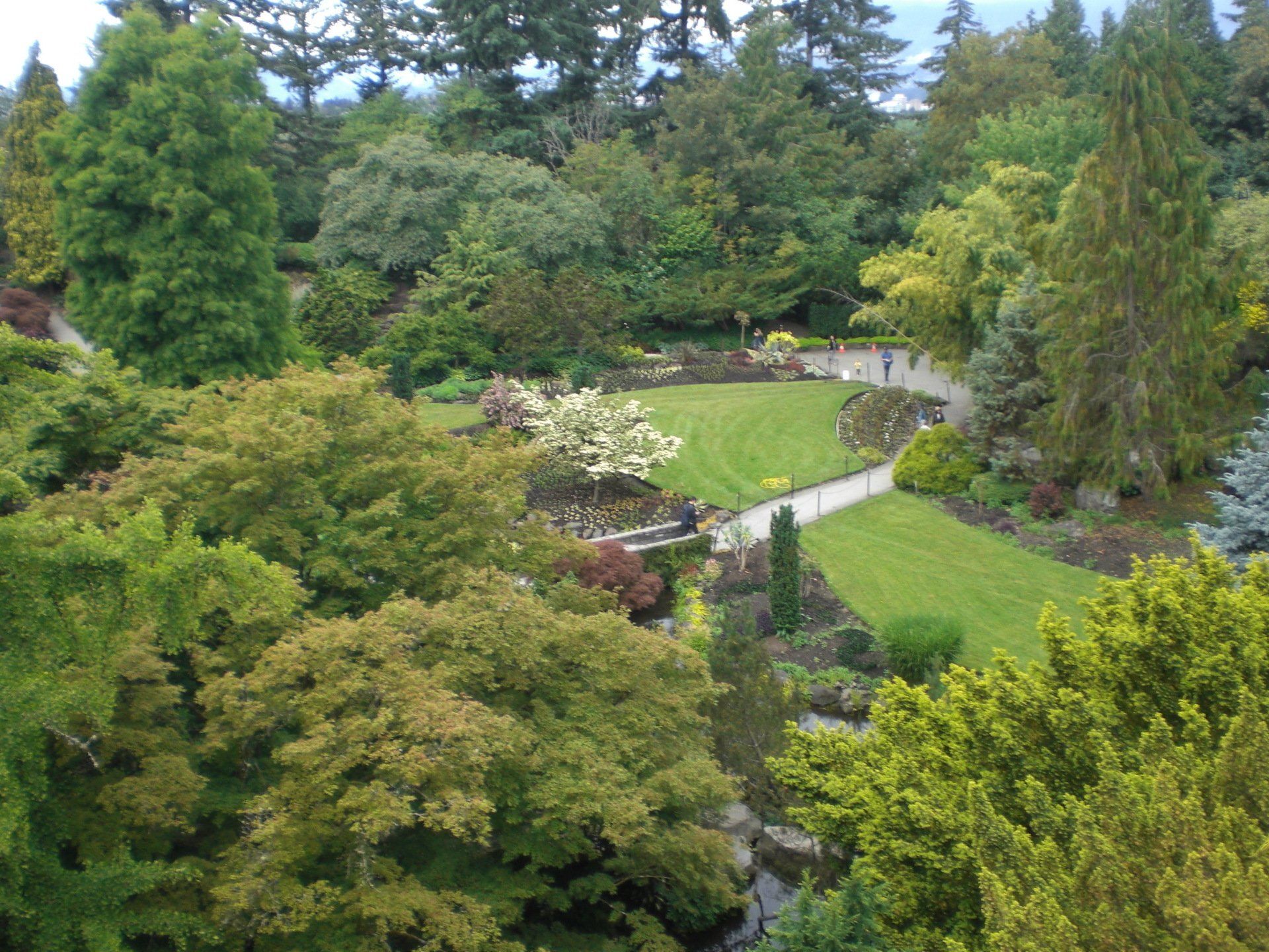 Lush green garden with winding paths, trees, and a small grassy area.