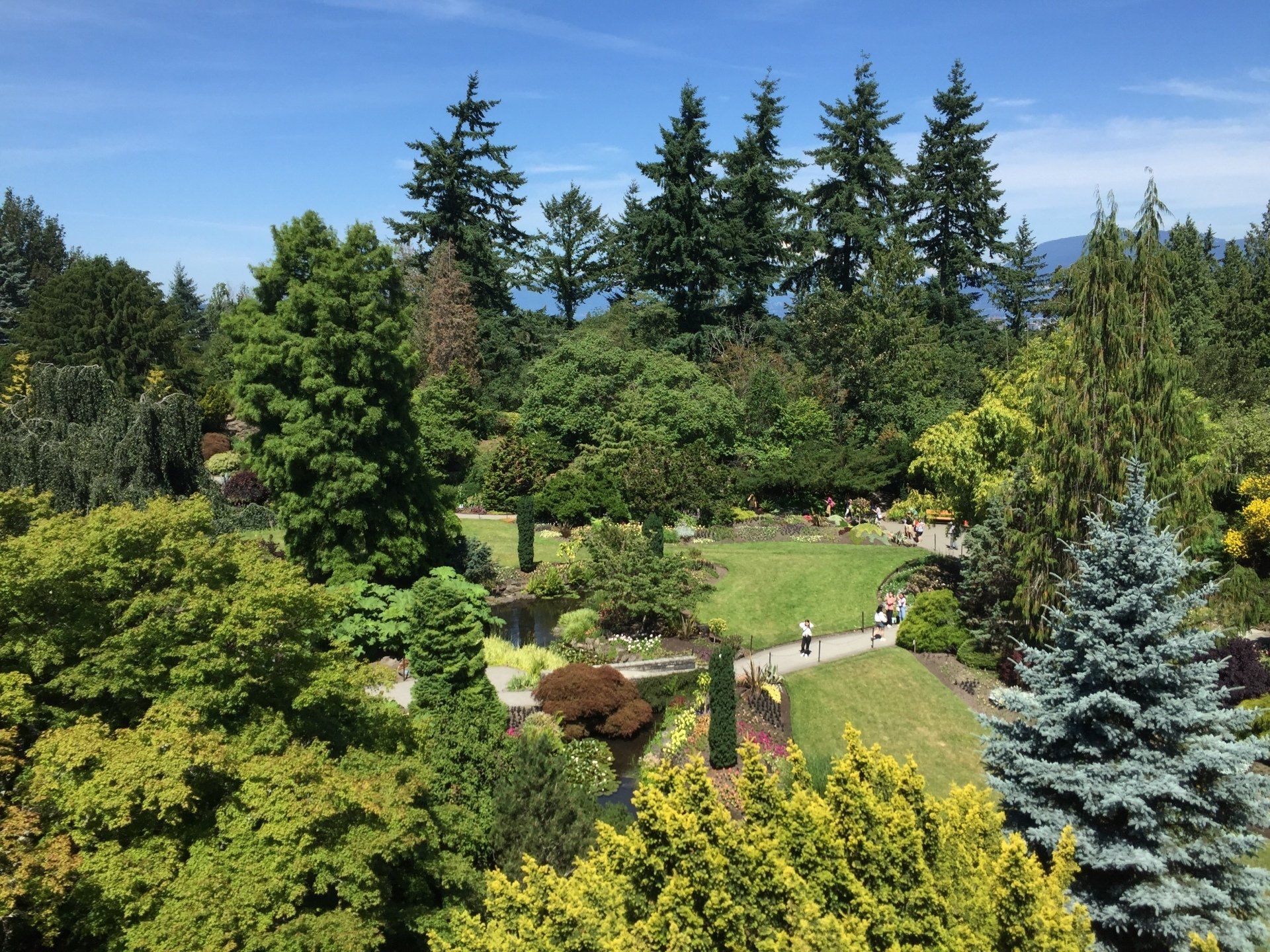 Lush garden with diverse trees, a path, and people under a bright blue sky.
