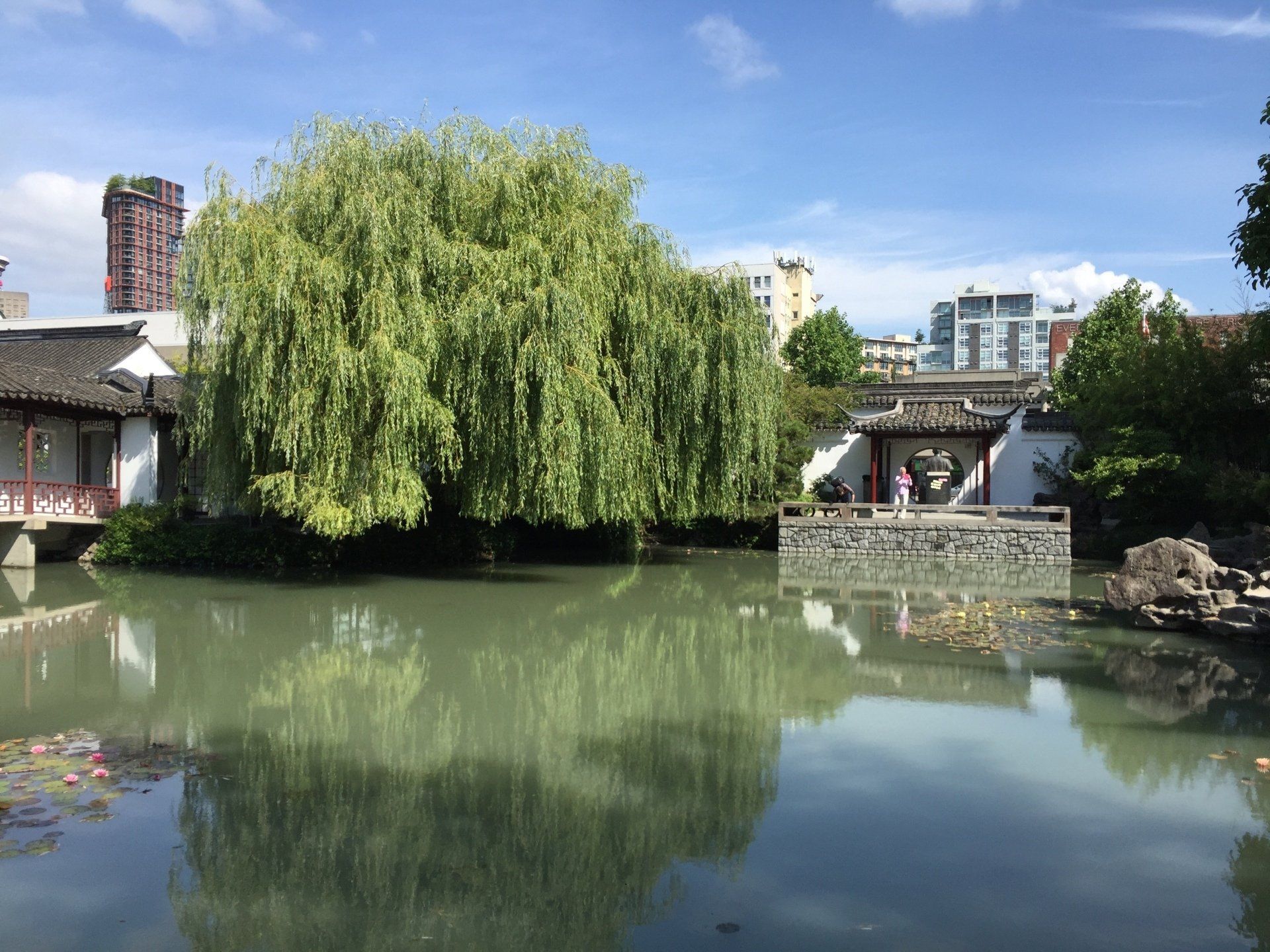 Tranquil pond in a Chinese garden, weeping willow tree, traditional architecture, sunny day.