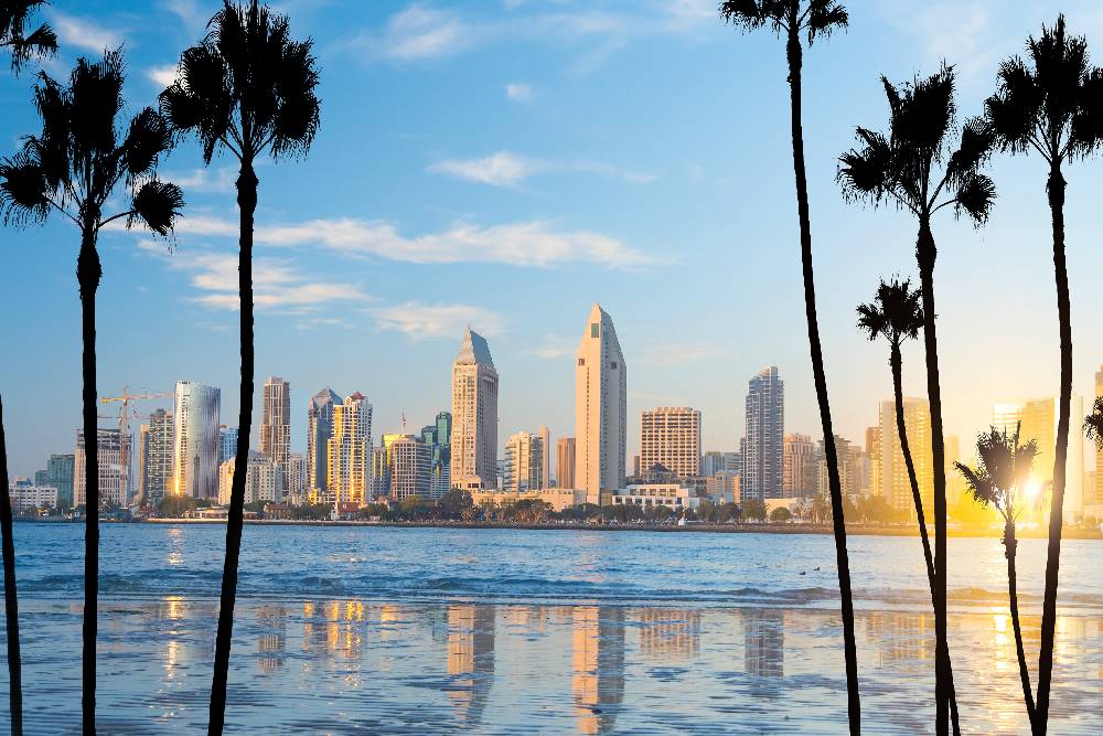 Palm trees framing the city skyline near Pacific Shutters and Shades in San Diego, California (CA)