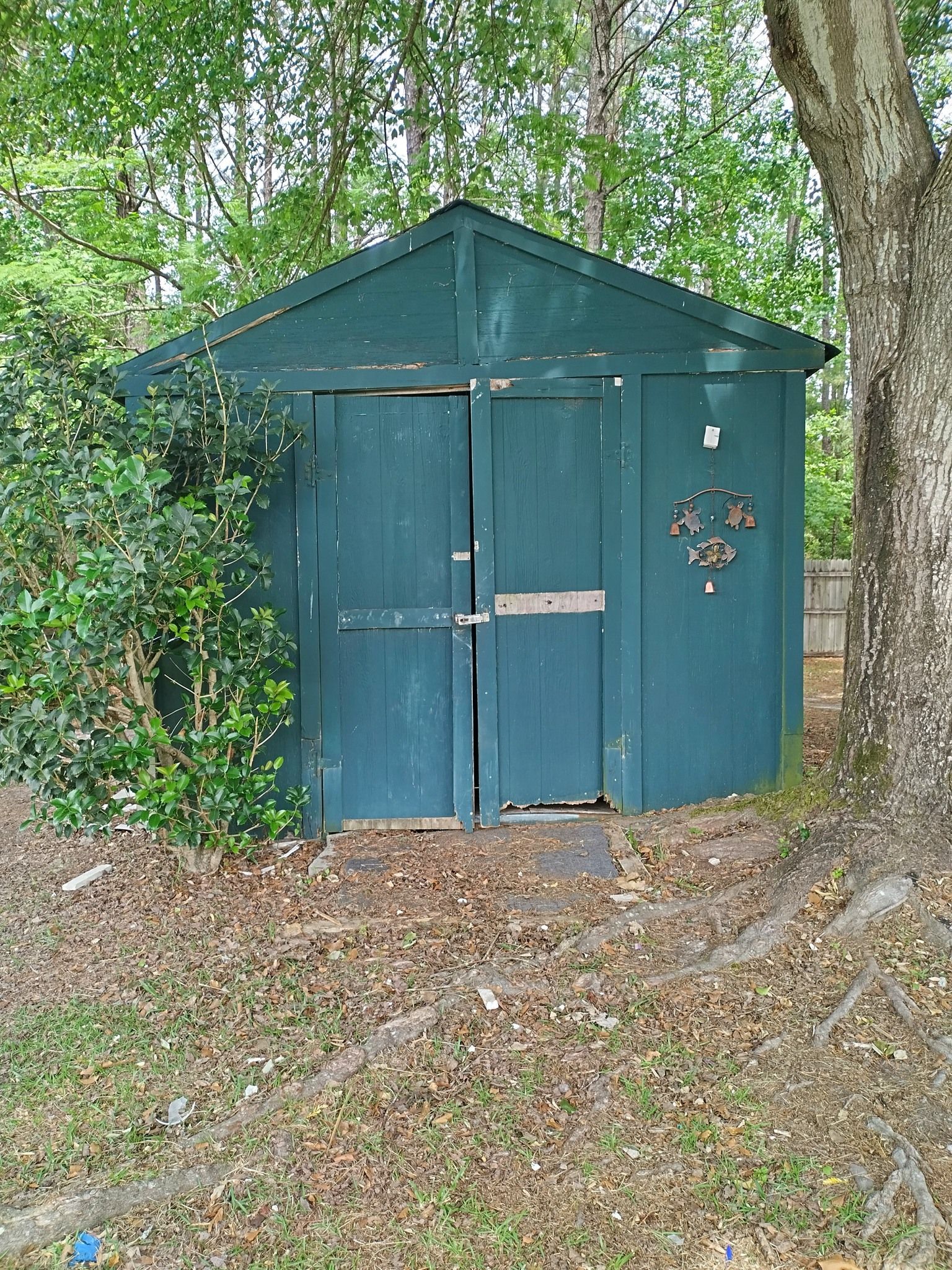 A blue shed is sitting under a tree in the woods.