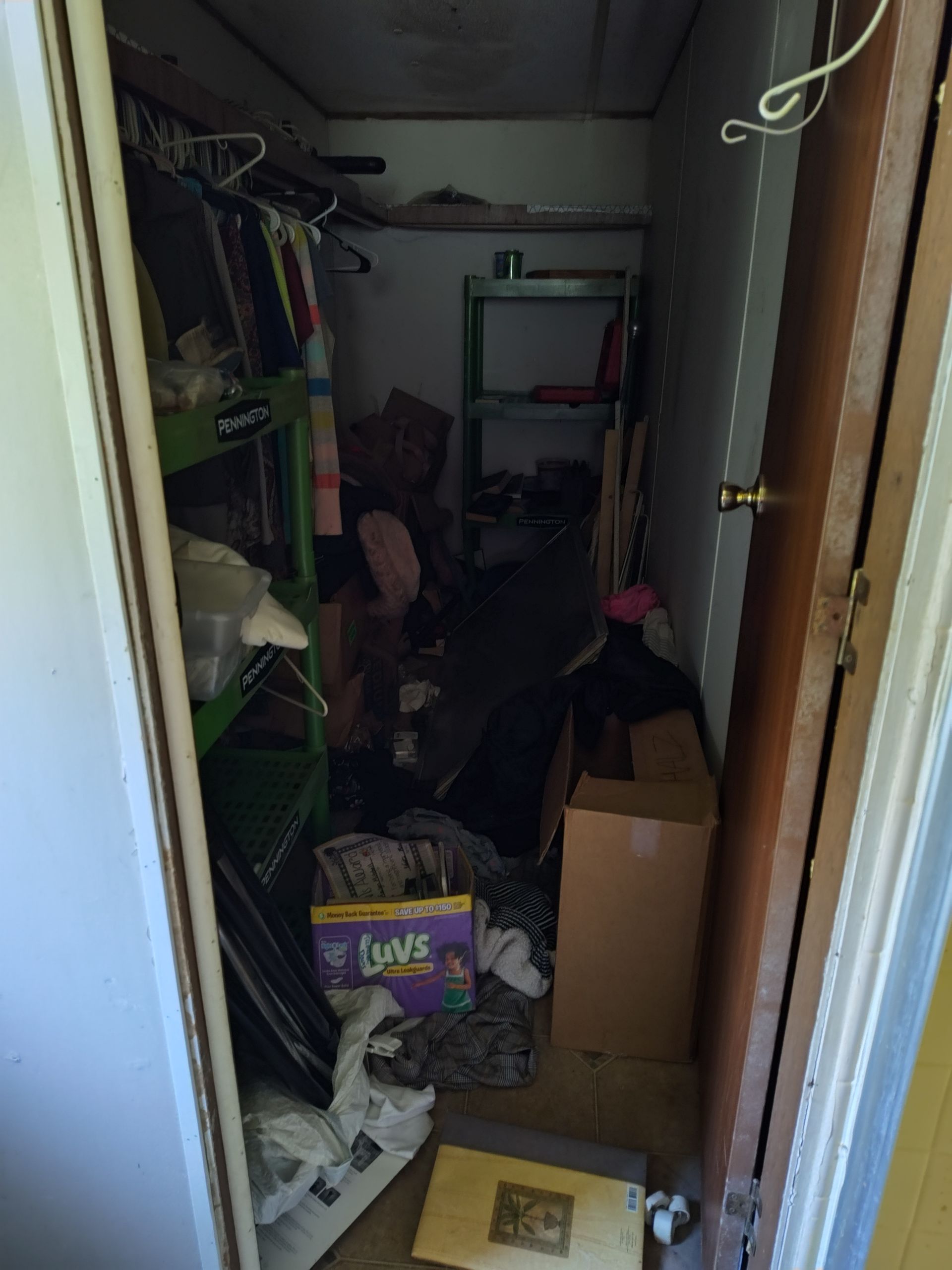 A closet filled with lots of junk and a box of loves diapers.