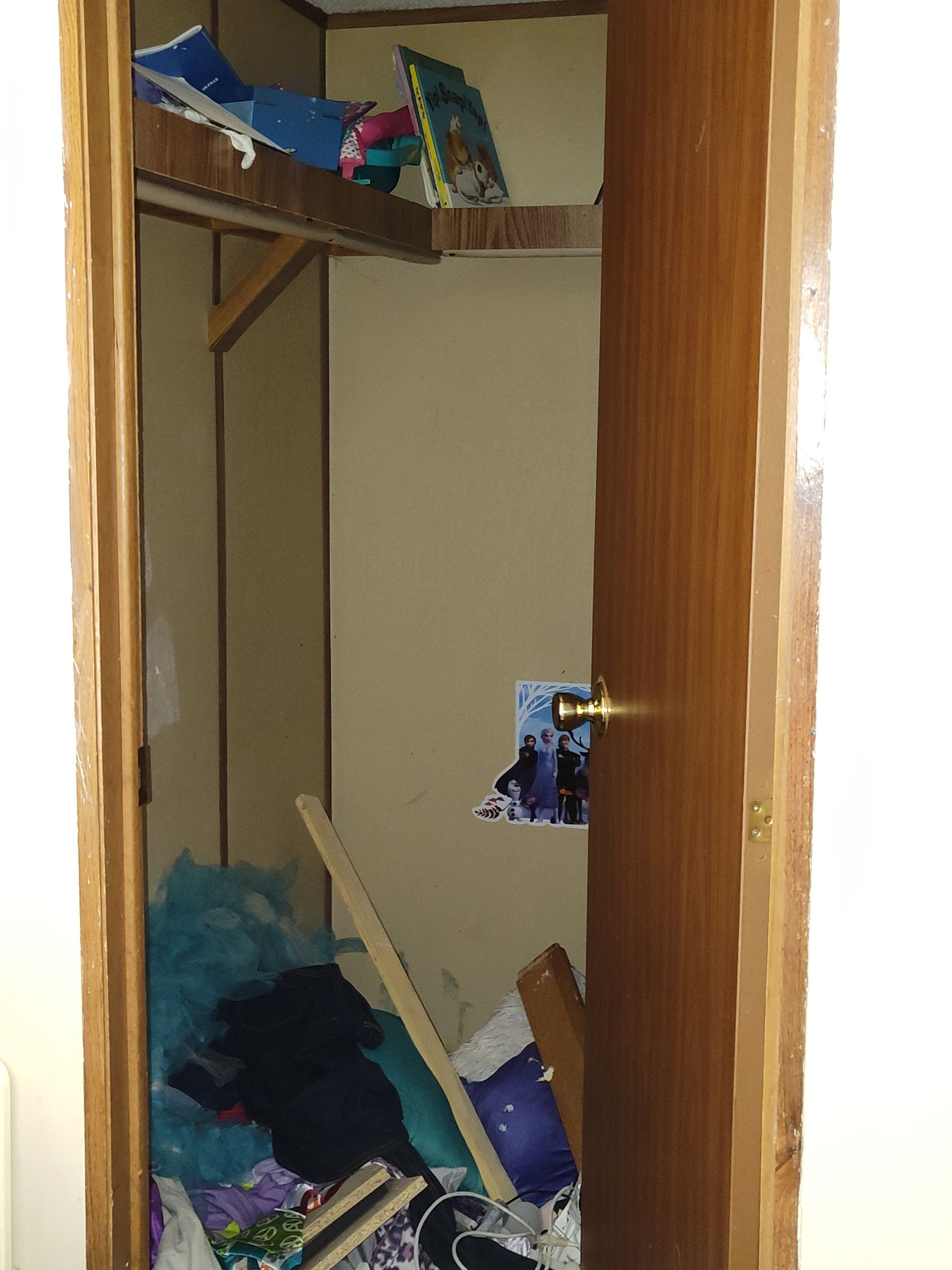 A closet with a lot of stuff in it and a door