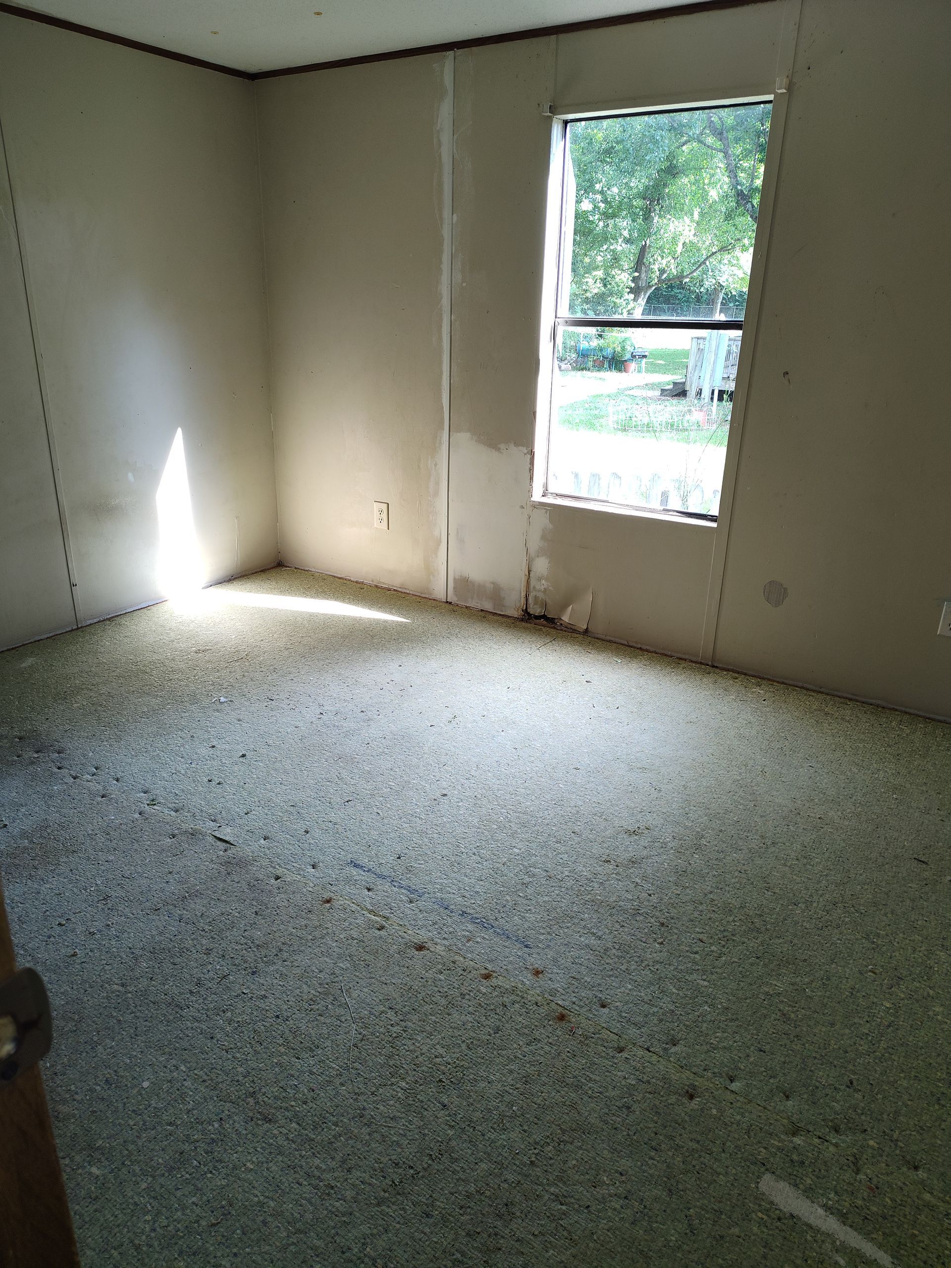 An empty room with a window and a carpeted floor