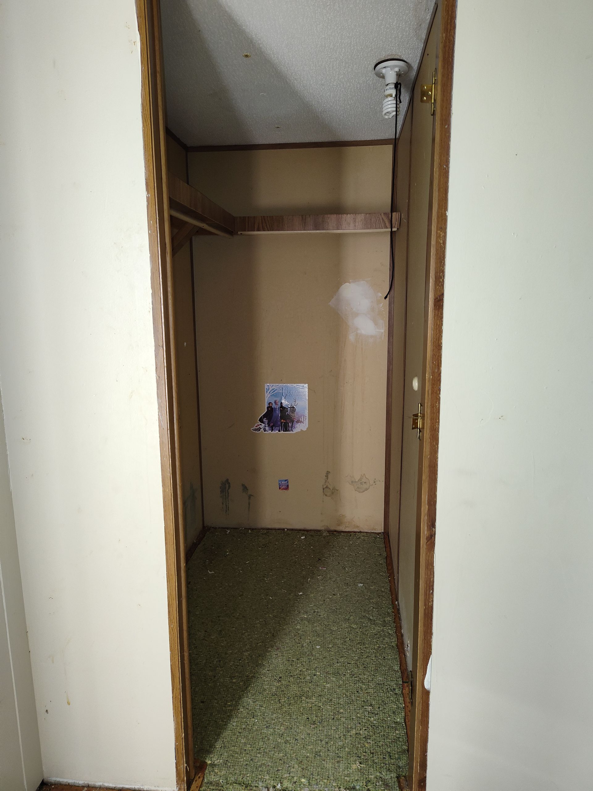 An empty closet with a door and a picture on the wall.