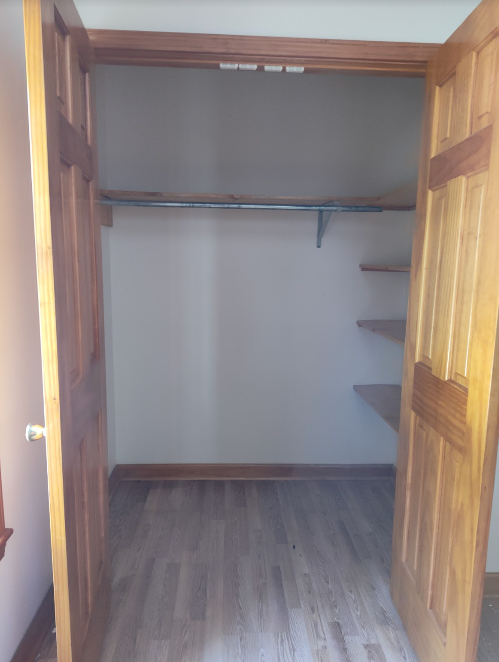 An empty closet with shelves and a wooden door