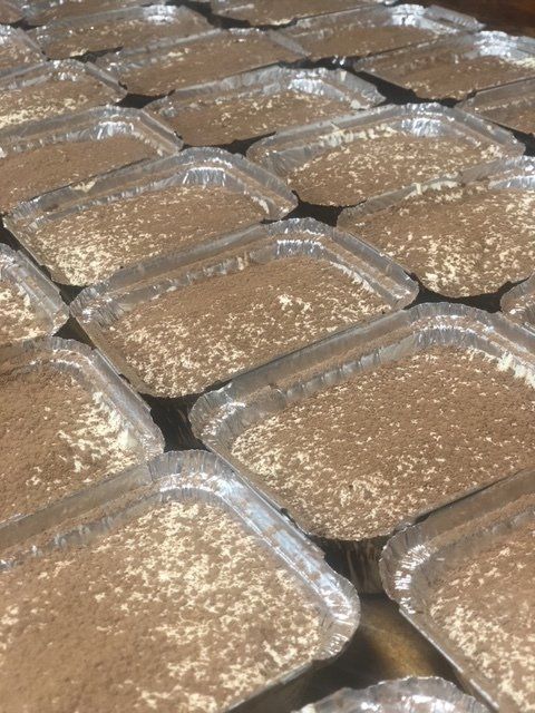 Vistello Alla Parmesan - Restaurant in Sarasota, FL