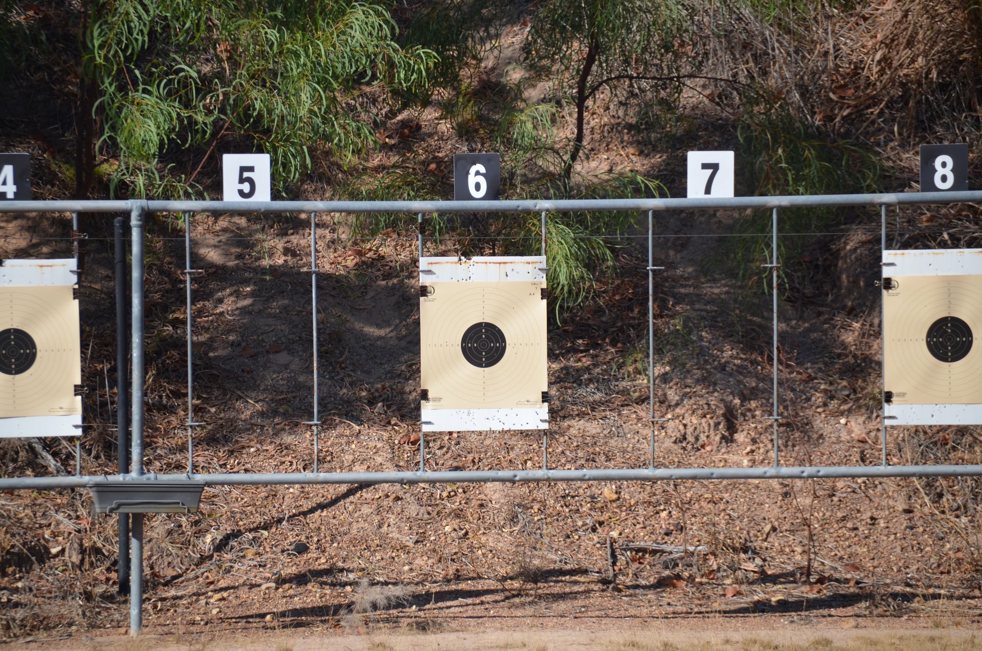 Targets at a shooting range with numbers 4-8 above them; brown ground, green trees in background.