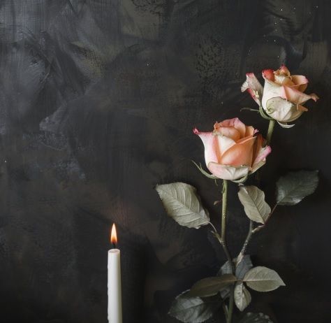 cremation services in Lake Zurich, IL