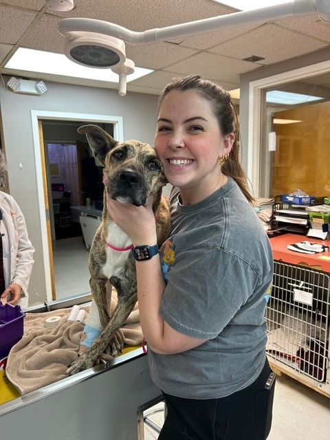 A woman is standing in front of a computer in an office.