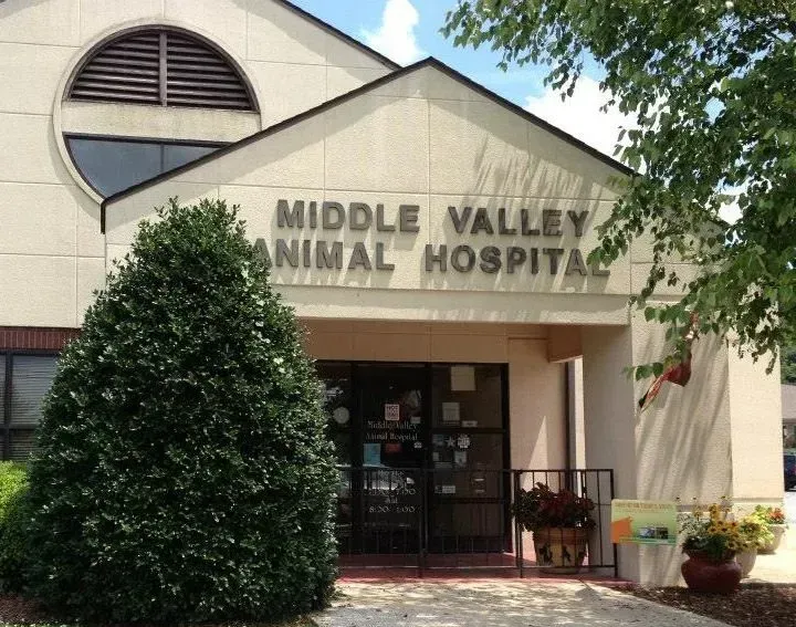 Middle Valley Animal Hospital