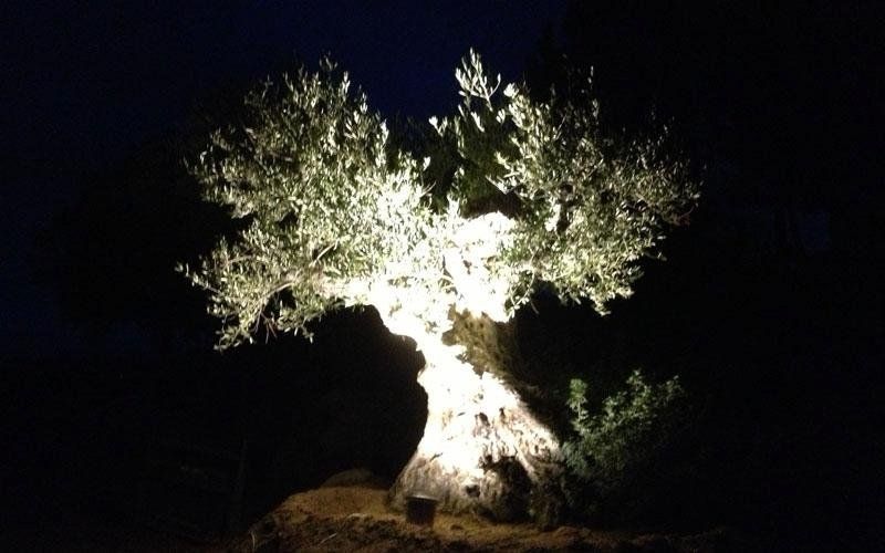 illuminazione esterna in una villa