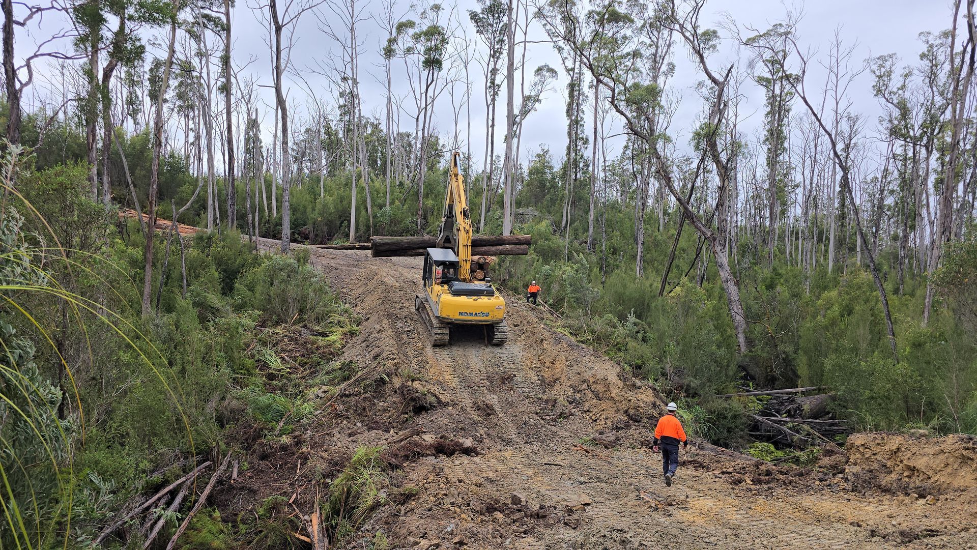 Heavy machinery hauling logs from a deforested hillside. A worker in orange walks below.