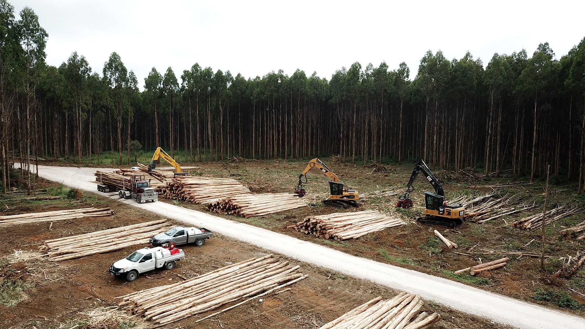 Birds eye view of forestry work