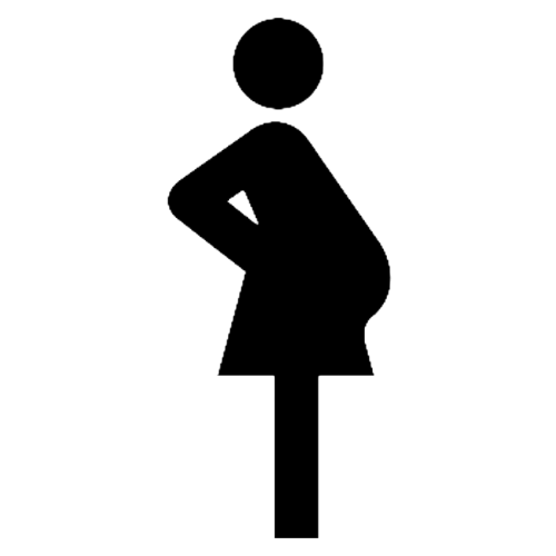 pregnant icon