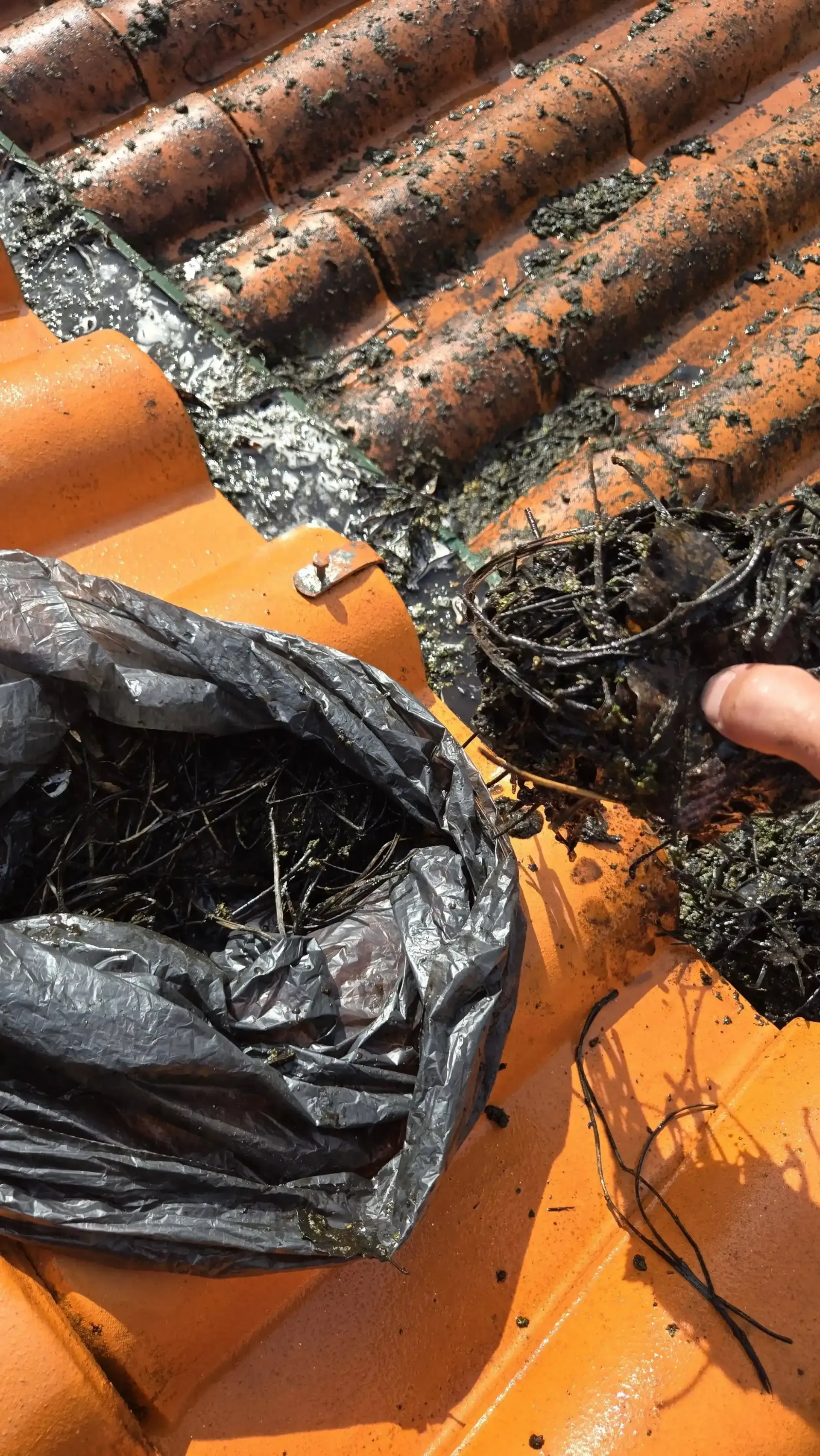 Remoção de resíduos acumulados durante a limpeza de telhado no Porto.