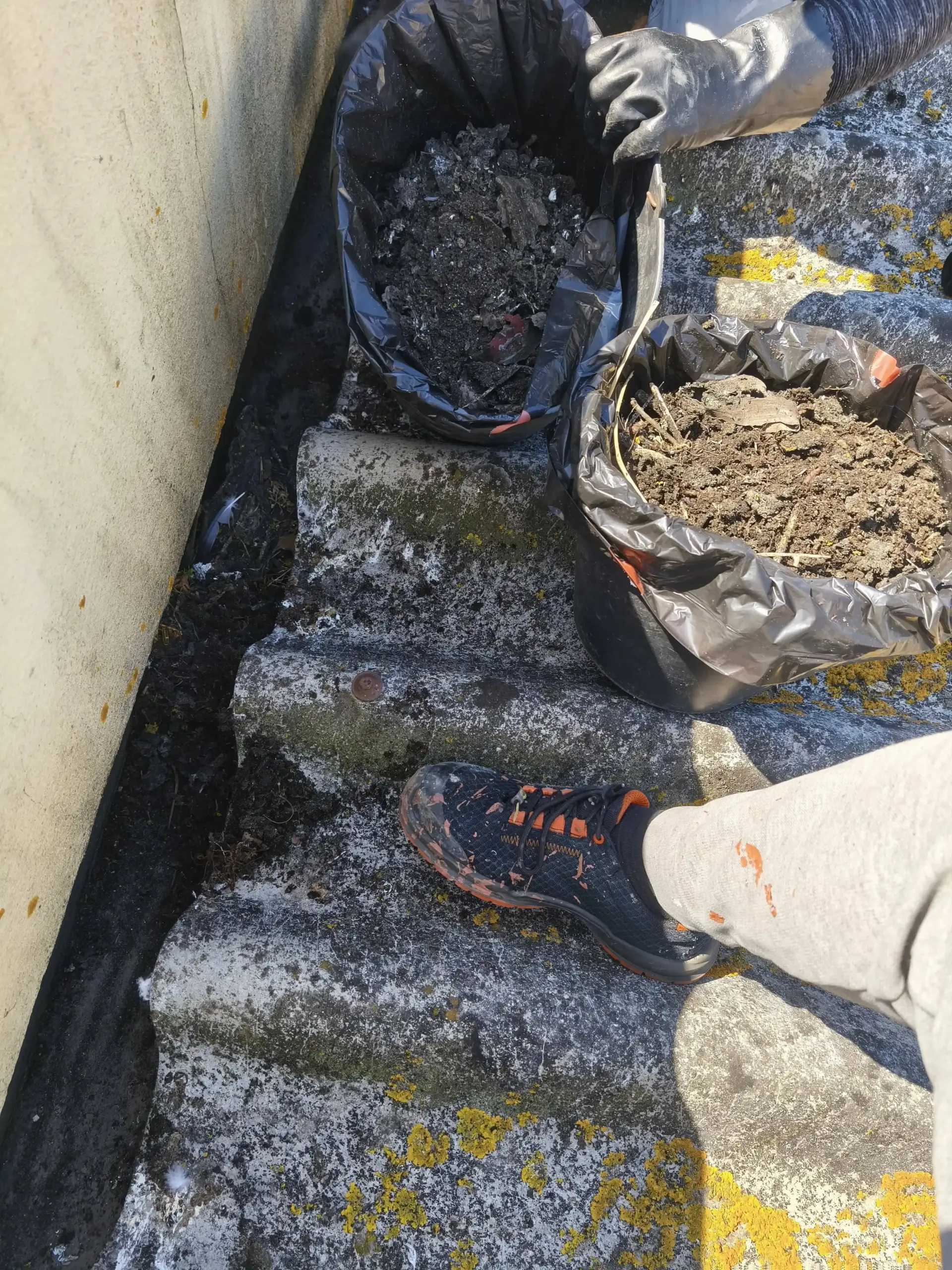 Remoção de detritos na caleira do telhado no Porto durante o serviço de limpeza completa.