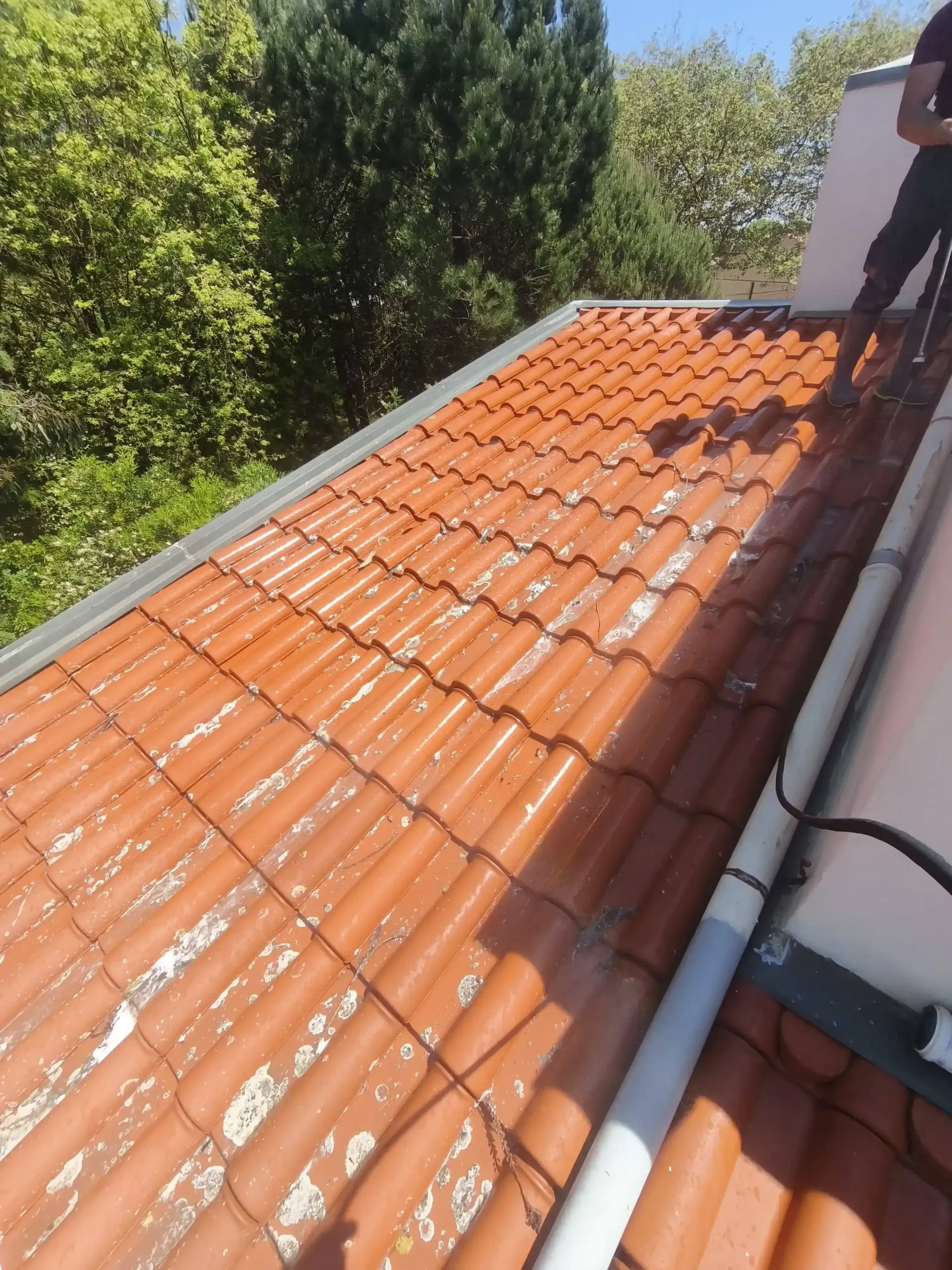 Telhado no Porto durante o processo de limpeza SoftWash, com resultado visível imediato.