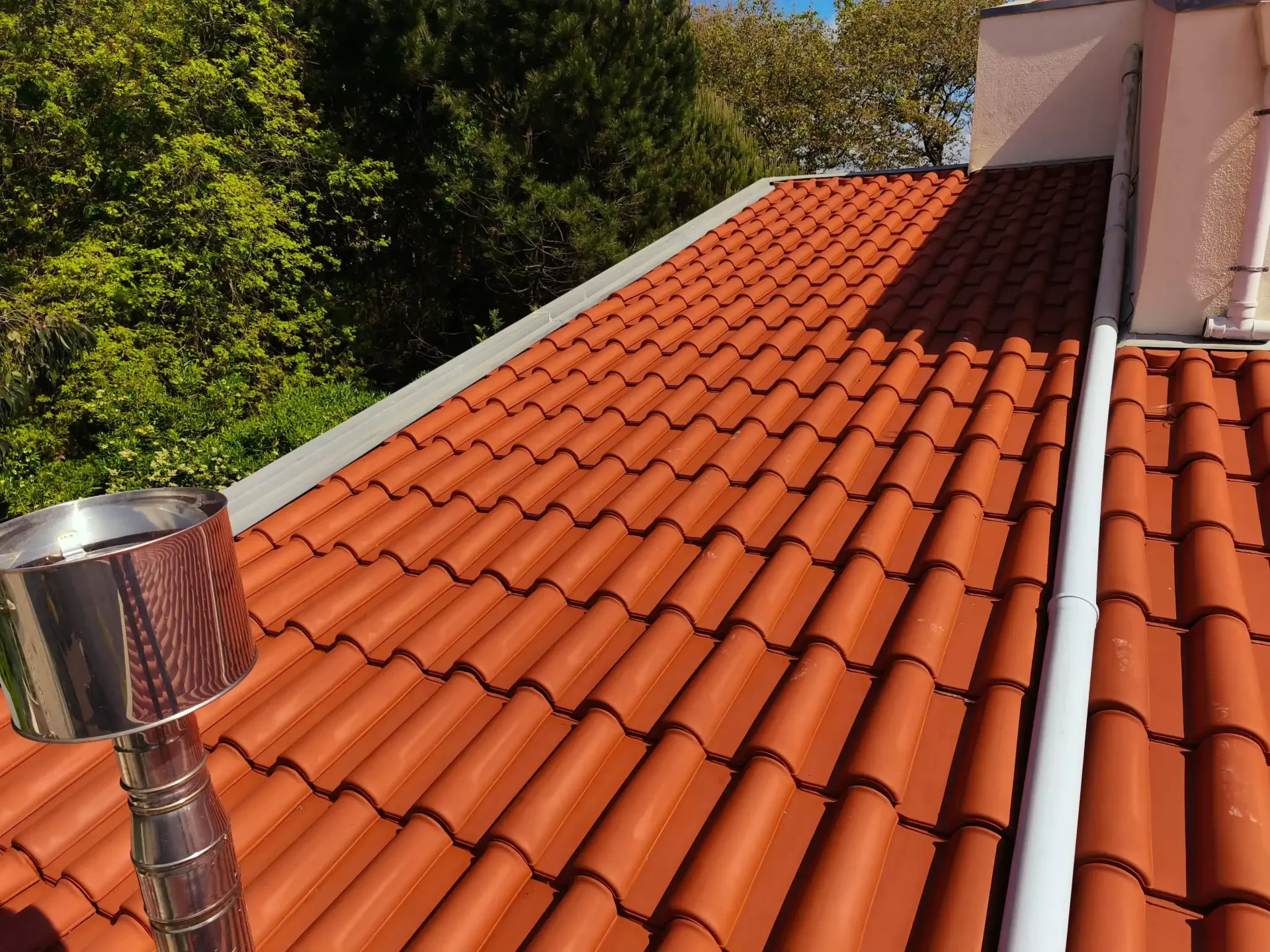 Telhado no Porto limpo e renovado após lavagem profissional SoftWash.