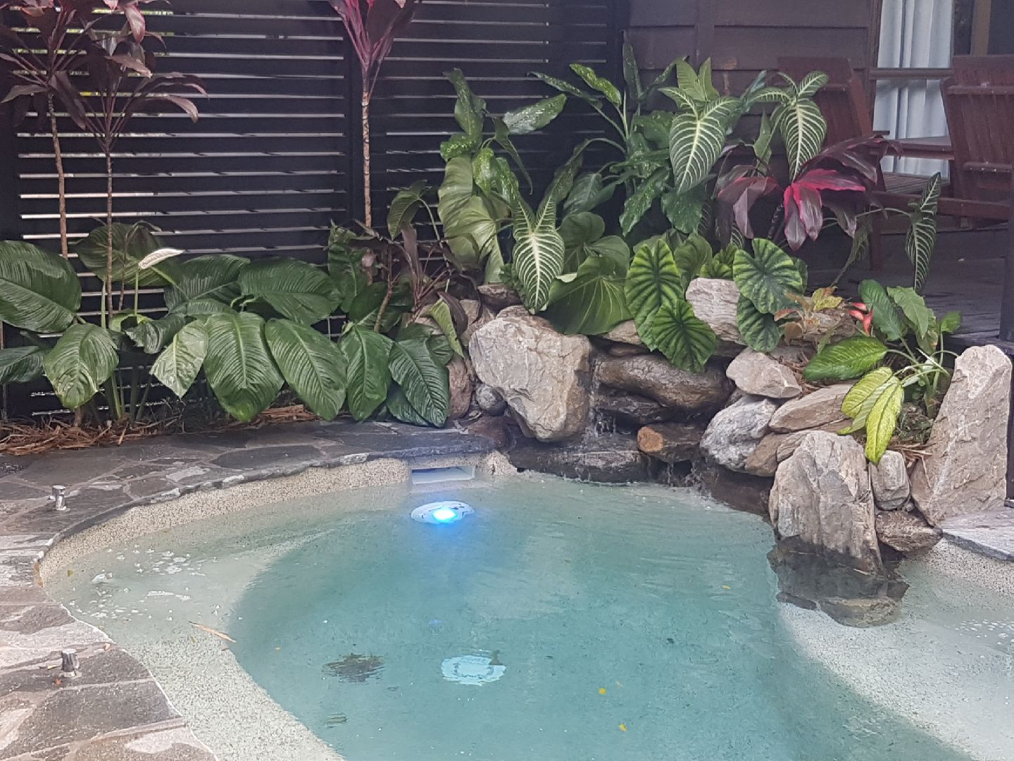 Tropical landscaped Pool — Bruce Jackman’s Advanced Landscapes in Cairns, QLD