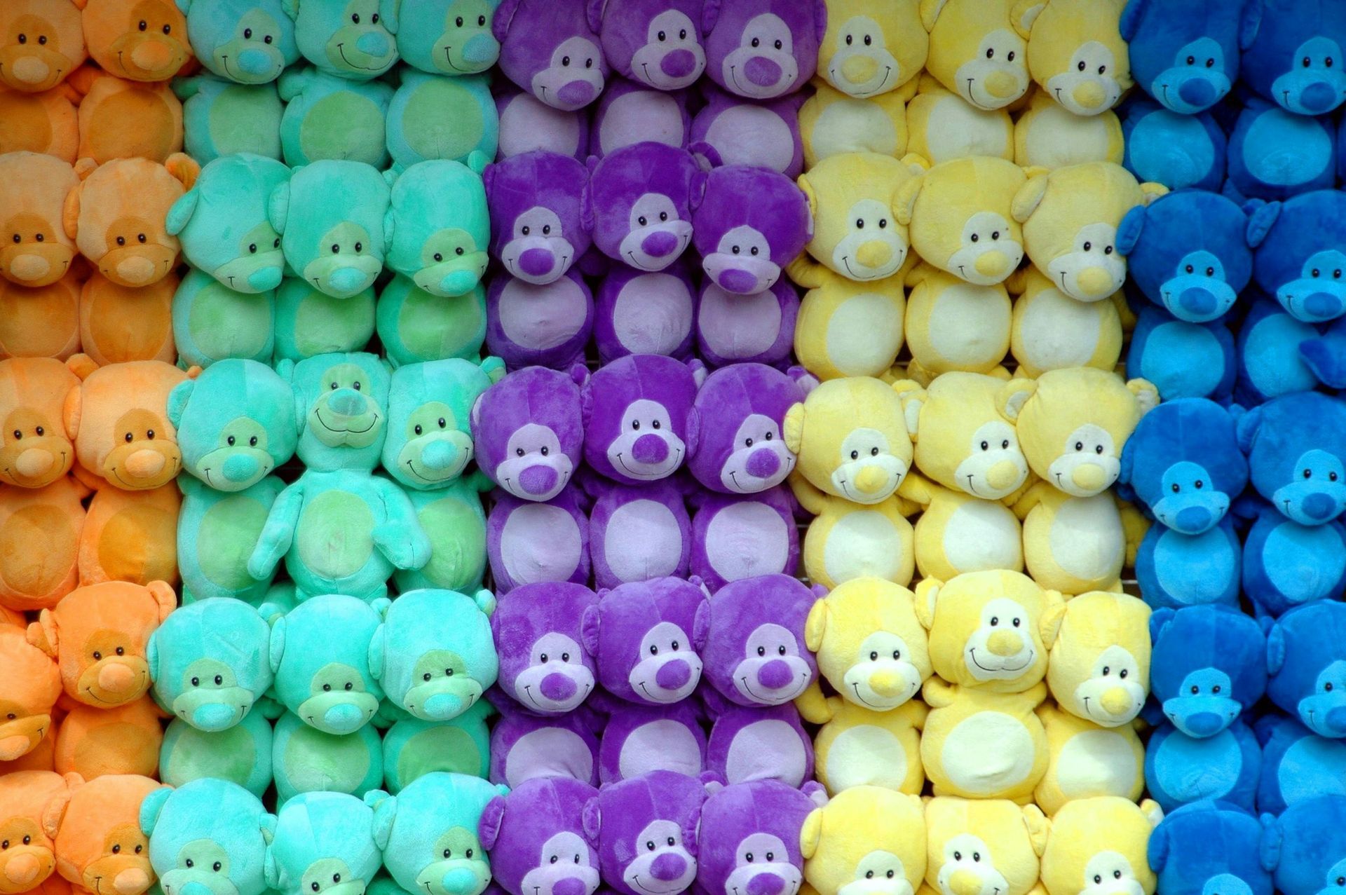 A rainbow of teddy bears are lined up in rows