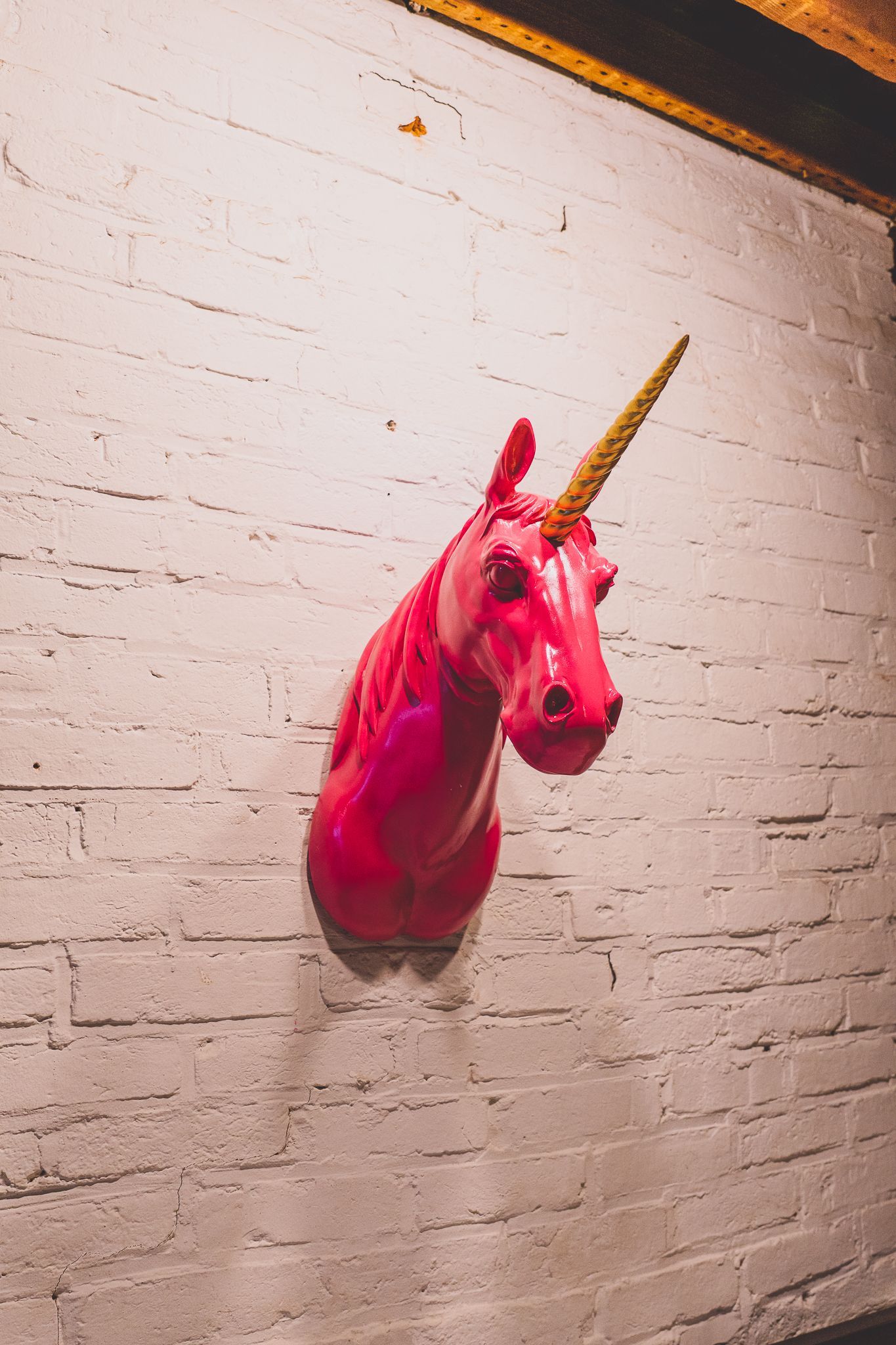 Head Bust of A Pink Horse — St Louis, MO — Graffiti Loft