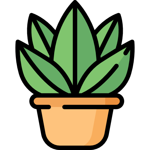 Piante da appartamento