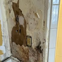 Peeling, mold-stained wall beside a tiled bathroom doorway with exposed electrical outlet