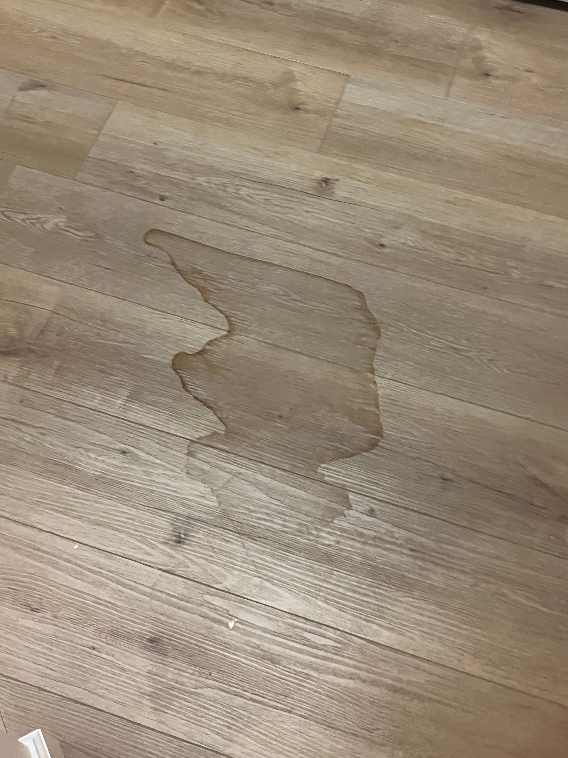 Standing water on the floor after indoor water damage