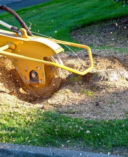 A yellow machine is stump grinding a tree stump in a yard.