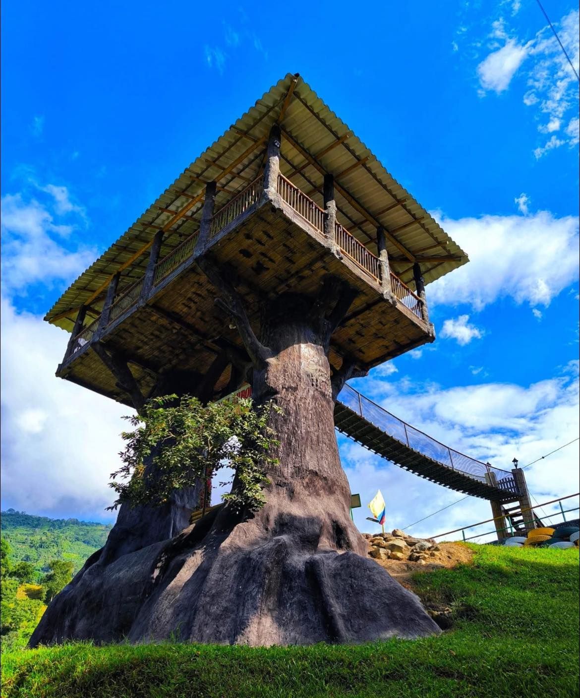 Plataforma de observación en la casa del árbol con puente colgante contra un cielo azul.
