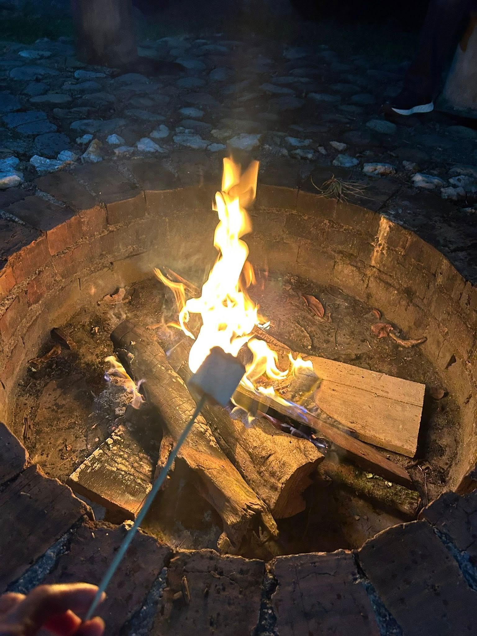 Malvaviscos asándose sobre una hoguera revestida de ladrillos, con llamas y leña.