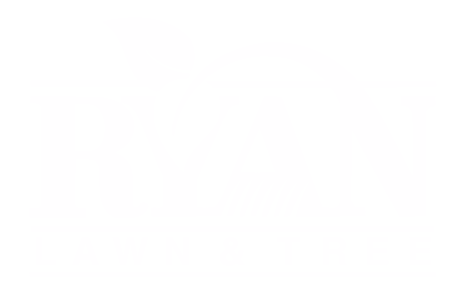 Link to Promotional Video