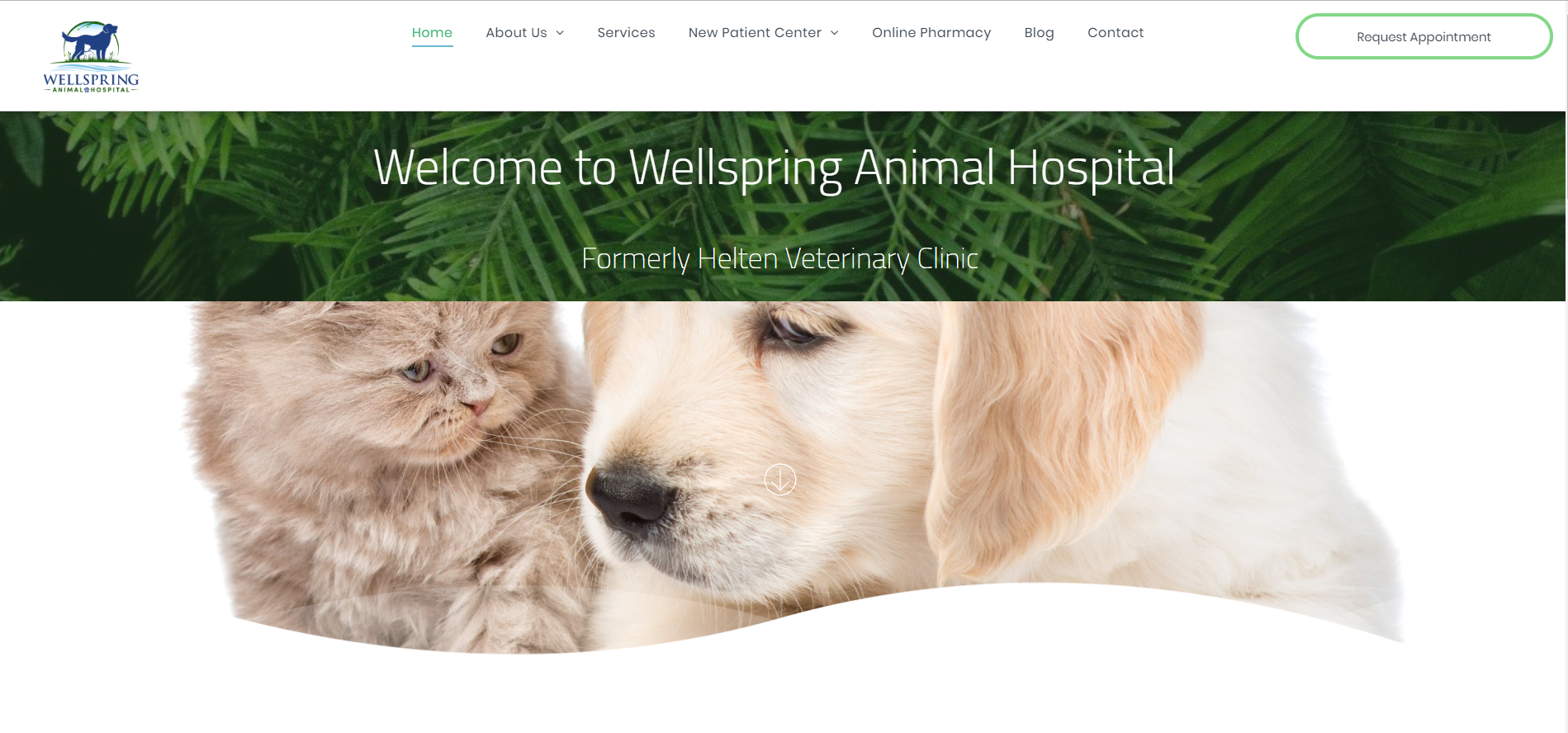 Wellspring Animal Hospital Website Link