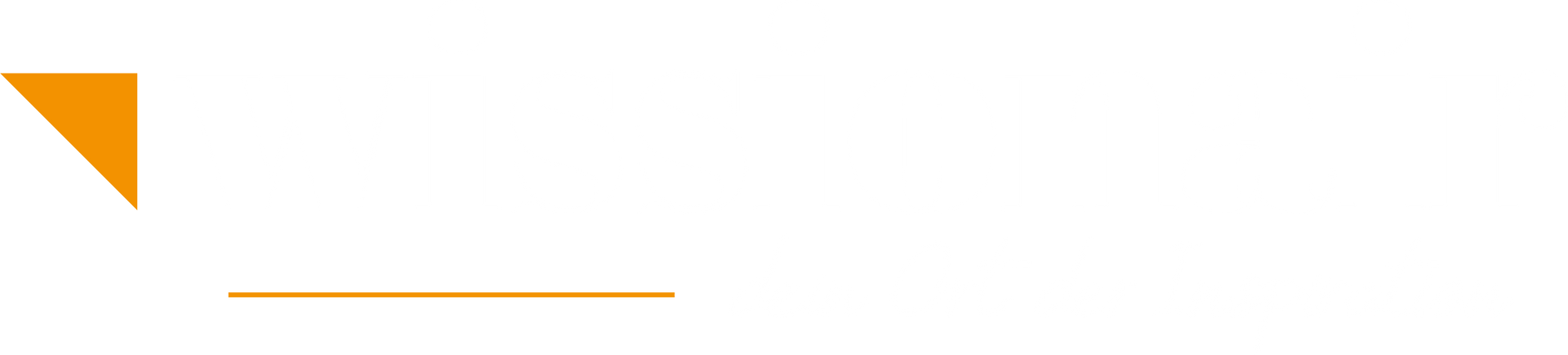 Offizielles Logo des Wissionair 