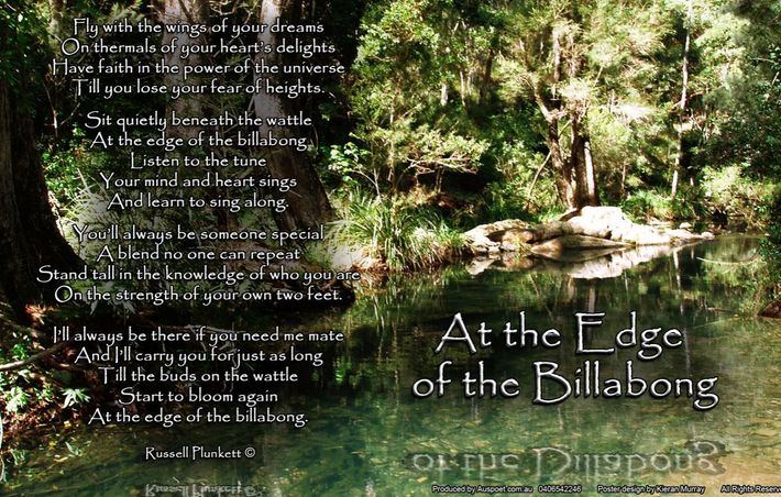 At-the-edge-of-the-Billabong