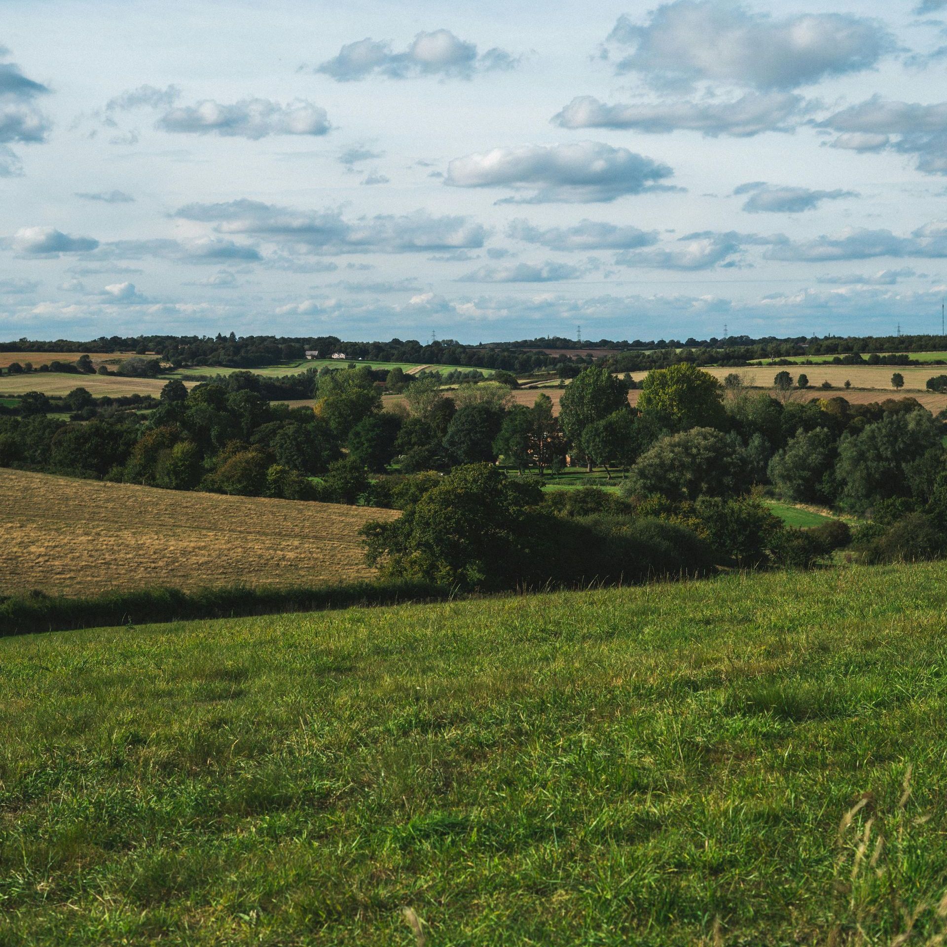 Green grassy field overlooking a valley with trees under a cloudy sky.