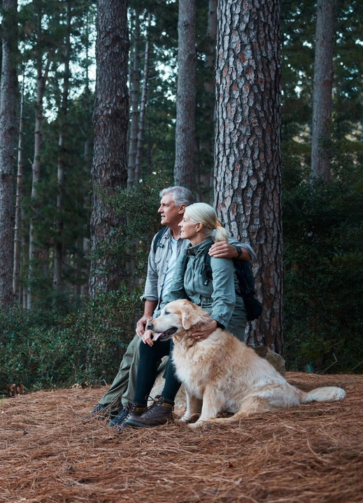 An aerial view of a city skyline at sunset.