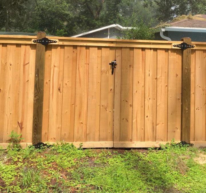 Board-On-Board fencing Gainesville, FL