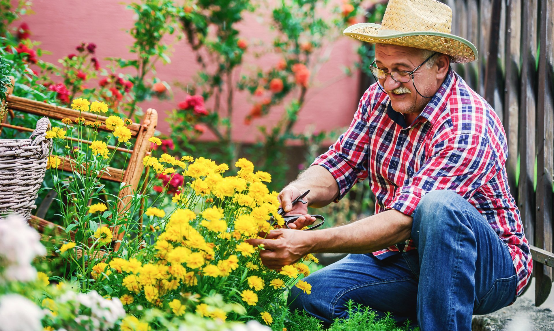 Man tending to flowers in a garden