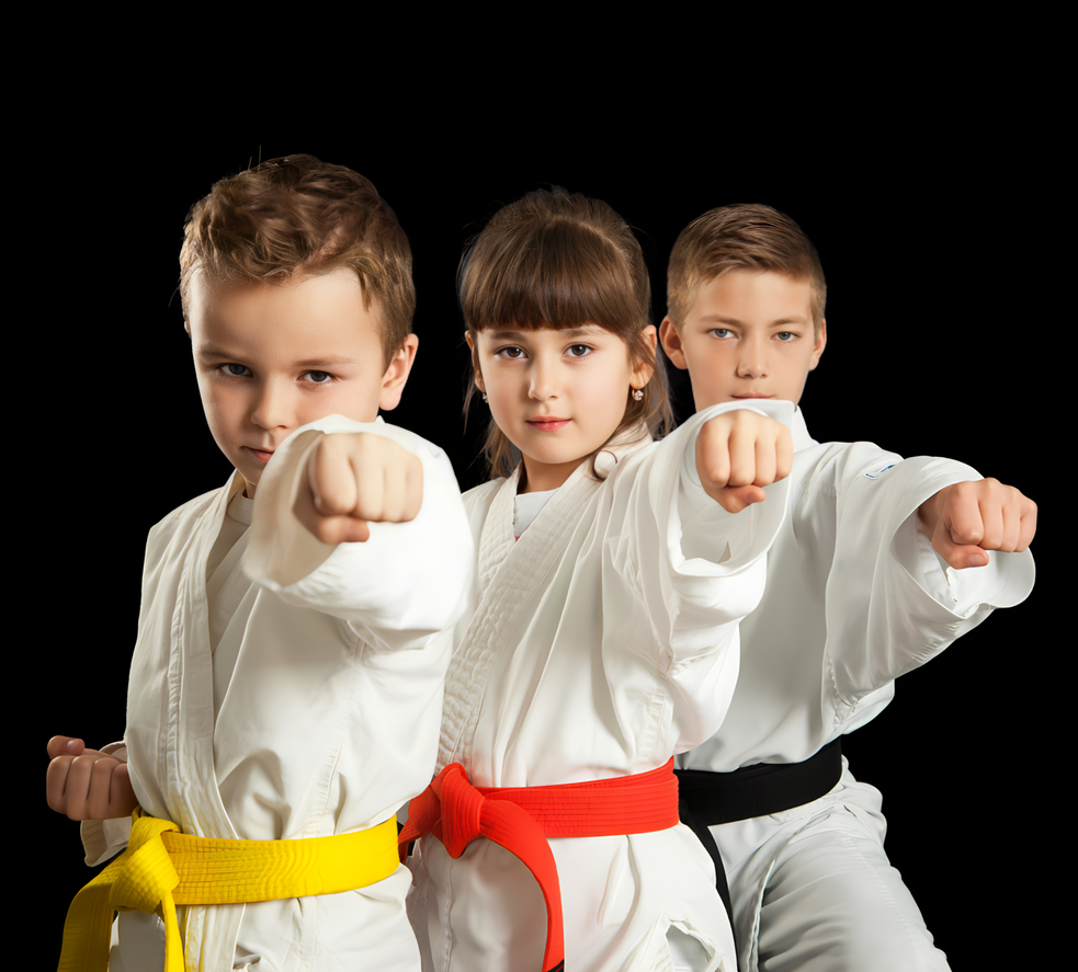 Kids Martial Arts