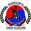 A logo for roman 's shin karate with a man in a karate uniform.