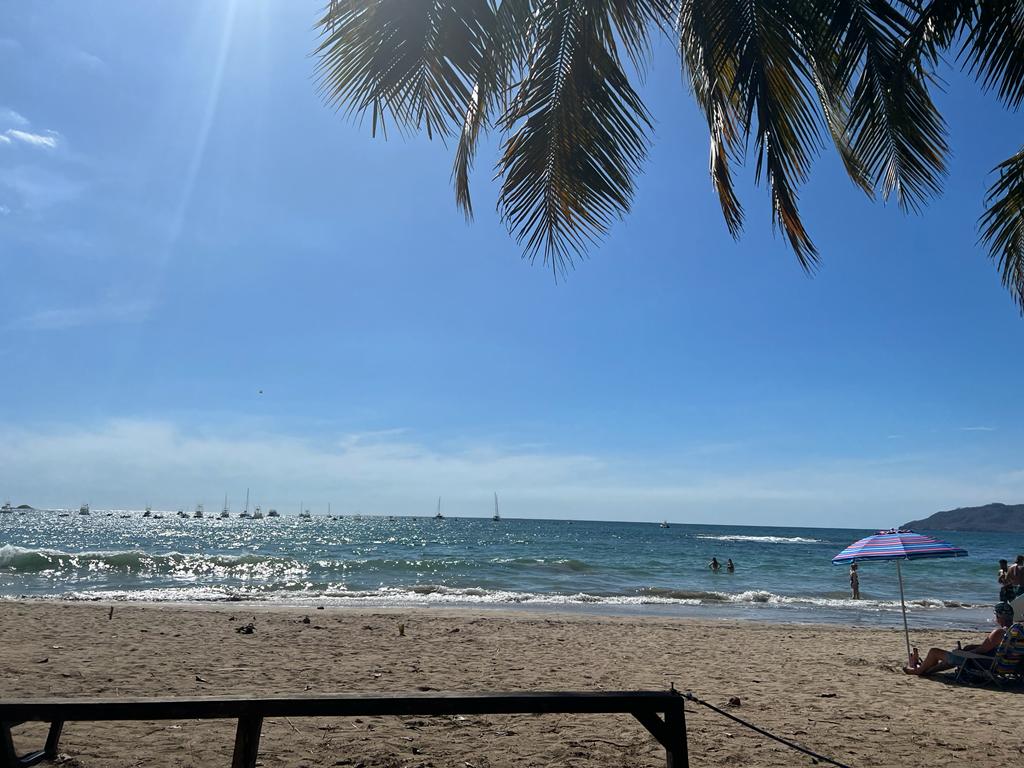 A sunny beach scene framed by palm fronds, featuring a sandy shore, sparkling blue ocean, distant boats, and a parasol.