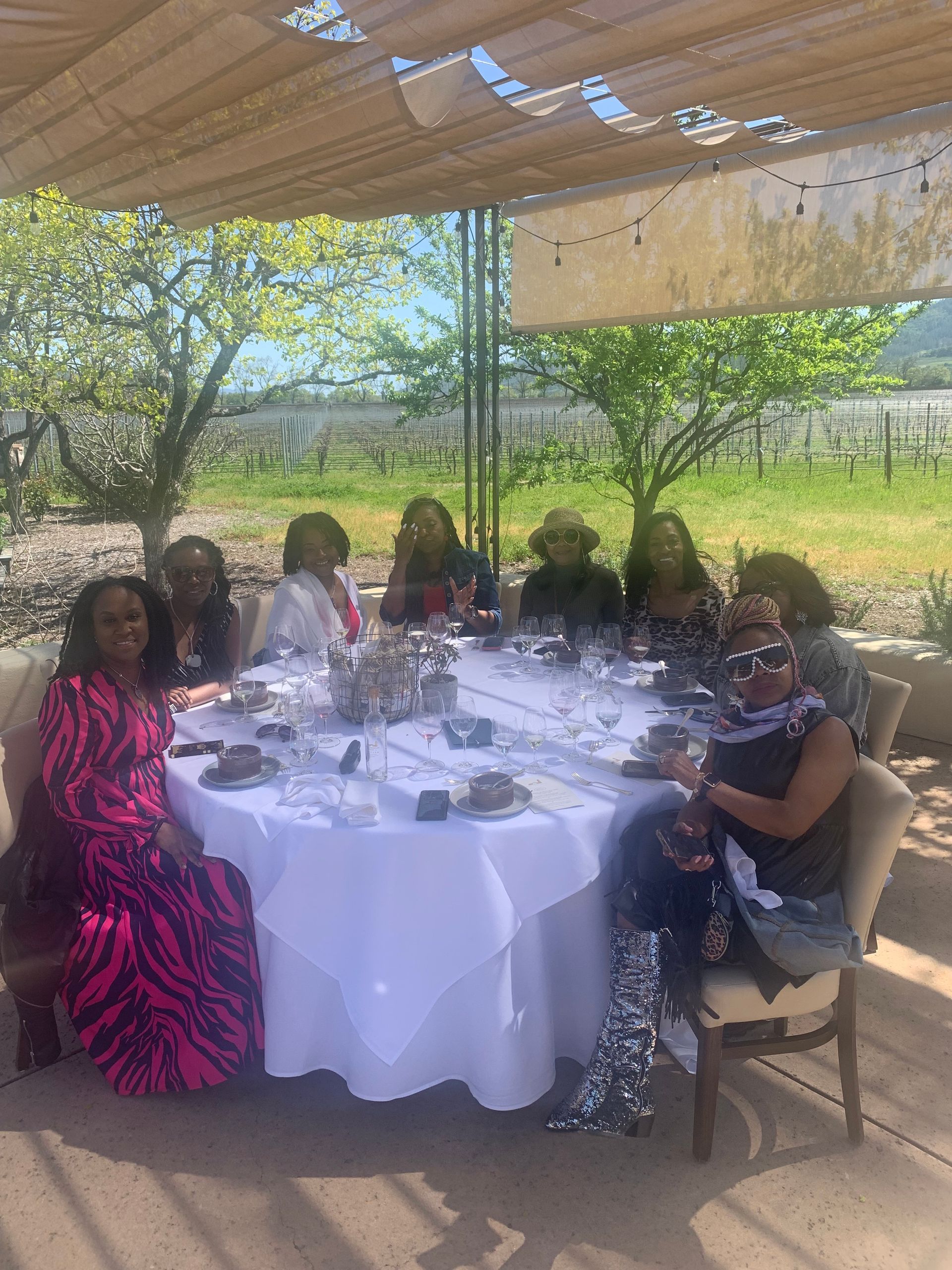 A group of people sit around a round outdoor table at a vineyard, enjoying a meal under a shaded pergola.