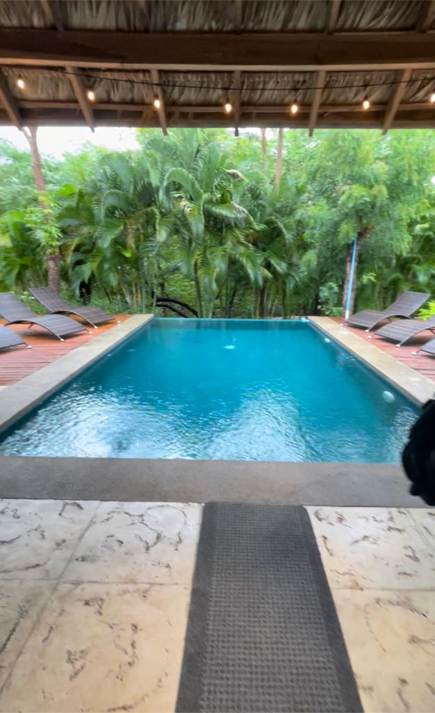 A rectangular swimming pool with deep blue water, surrounded by lounge chairs under a thatched patio roof in a jungle.