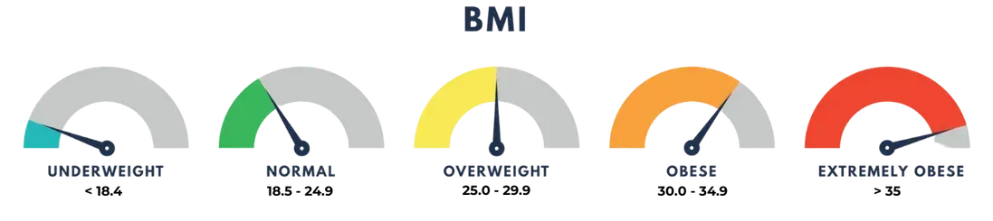 A graphic of a gauge showing different levels of bmi